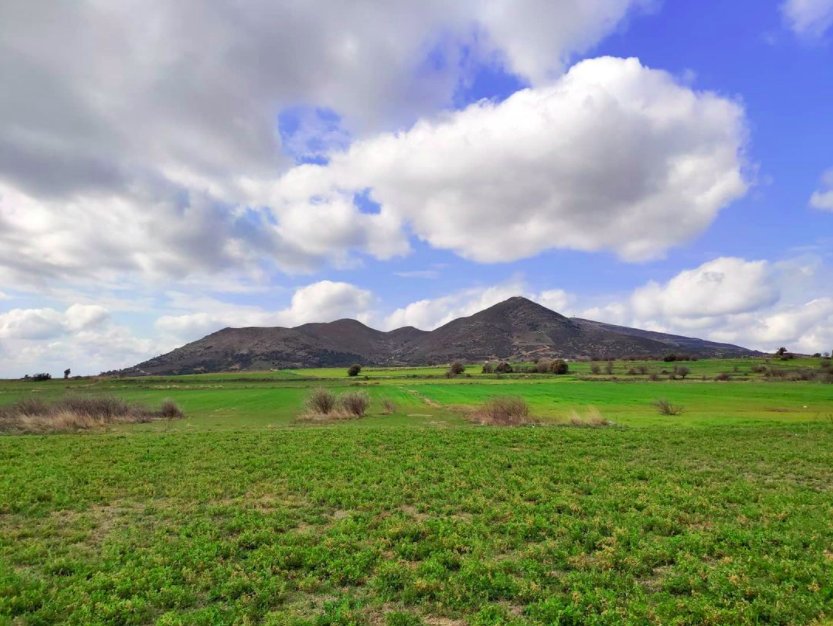 Low altitude field area landscape