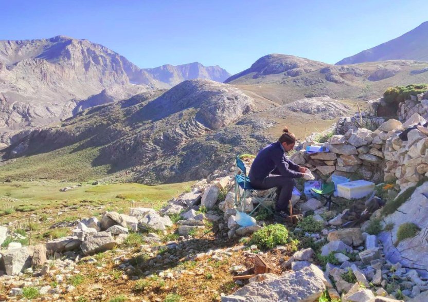 Preparing tissue samples at a high-altitude field site